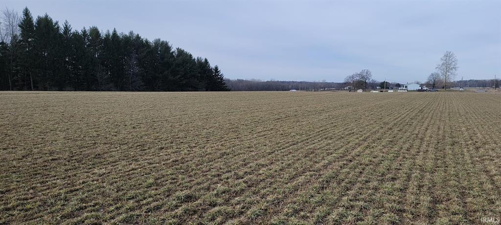 Field view for North County Line Road land auction in Allen County Indiana