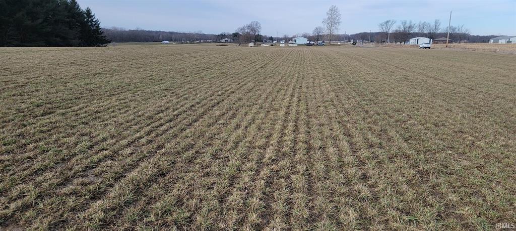 Second field view for North County Line Road auction in Allen County Indiana