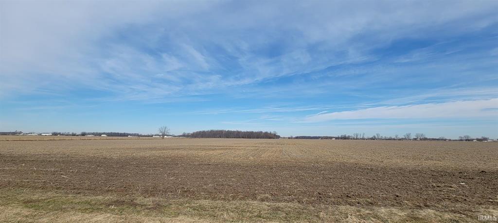 Field view for Doty Road land auction in Allen County Indiana