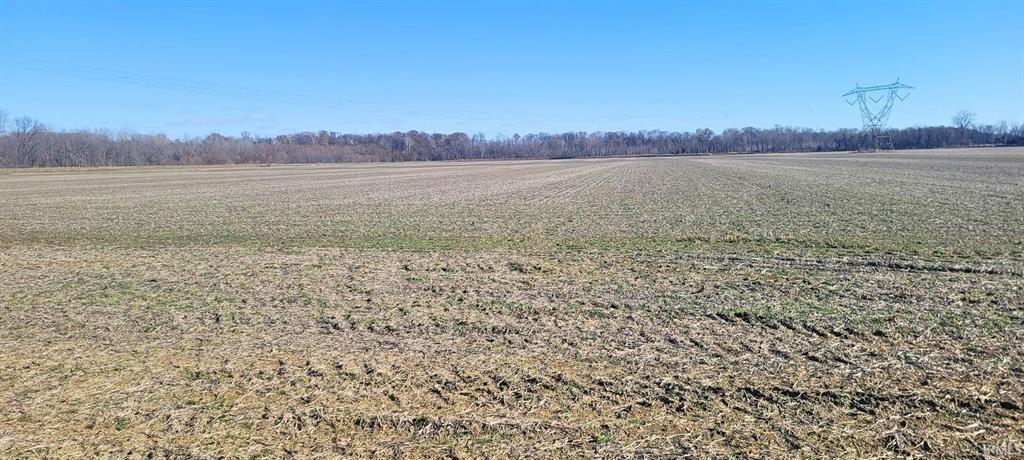 Field view for 219.79 acre Knox County land auction