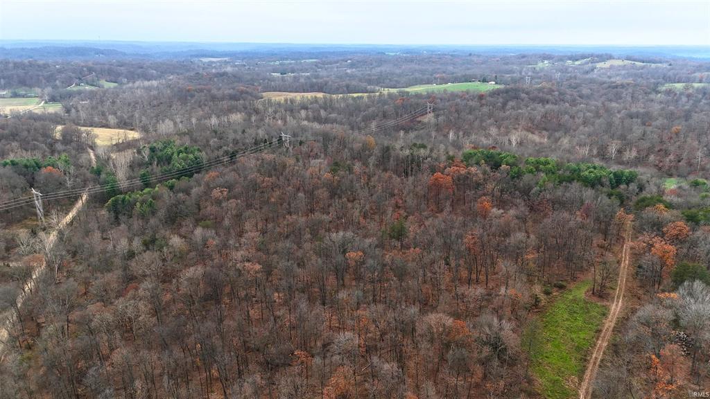 Aerial wooded land view for 220 acres on Witt Road Shoals Indiana auction