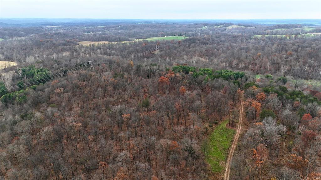 Second aerial wooded land view for 220 acre Witt Road auction