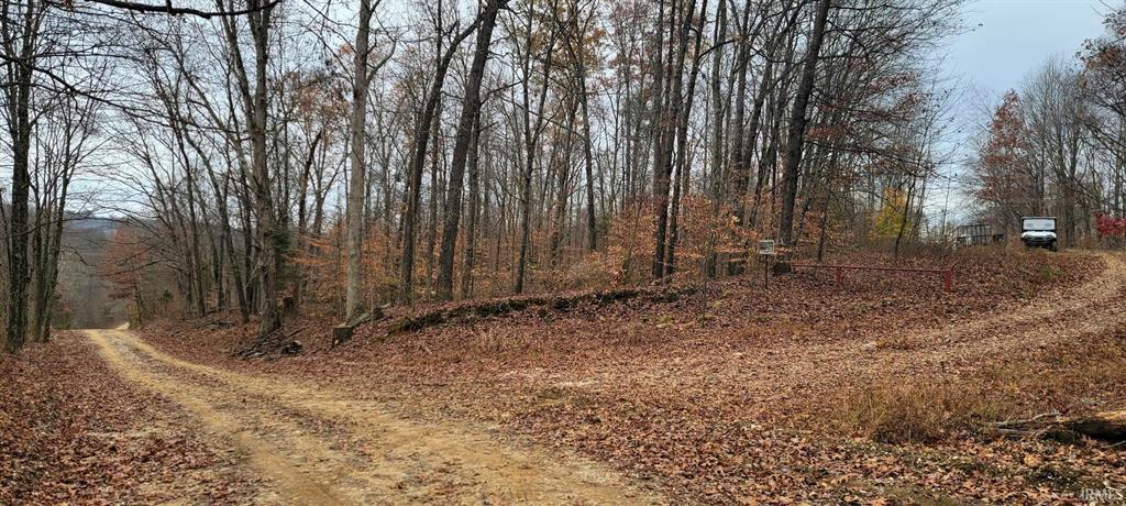 Woods and trail view for 220 acre Witt Road Shoals Indiana auction
