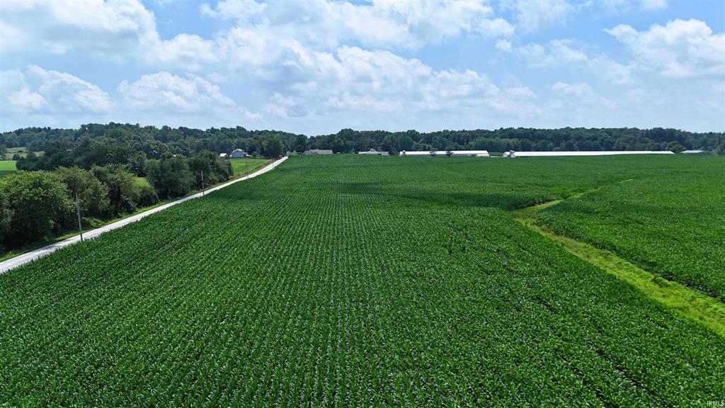 Aerial crop field view for 700 E Odon Indiana auction