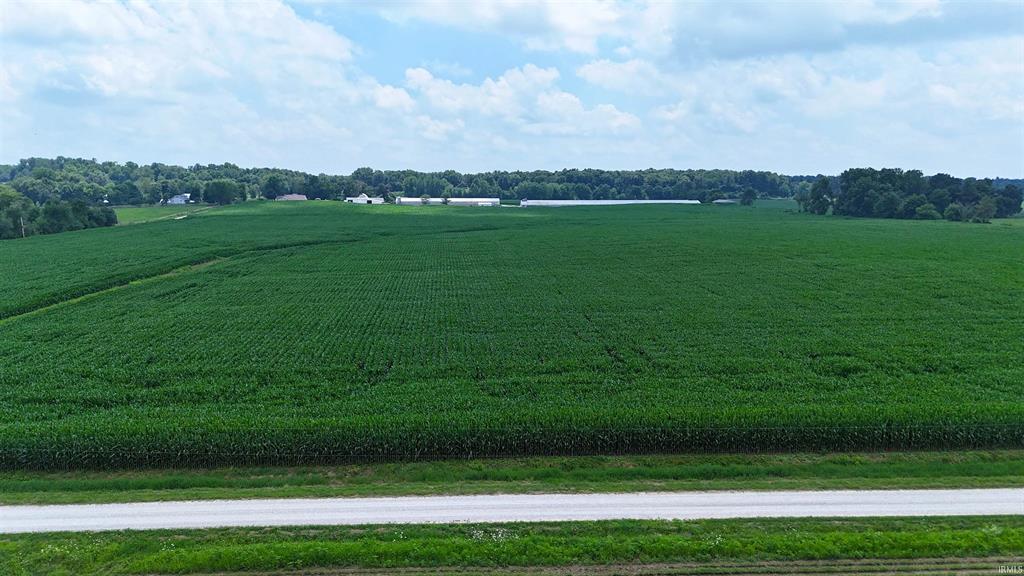 Field view for 30 acres at 700 E Odon Indiana auction