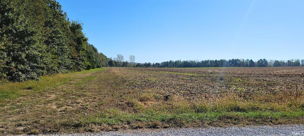 Field edge view of Daviess County land auction property
