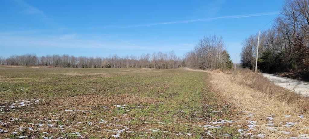 Field and road view for 95.25 acre Daviess County land auction